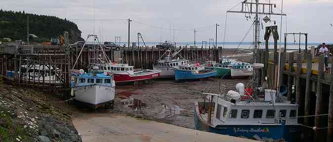 The Bay of Fundy harbour get travel insurance online with Healthquotes