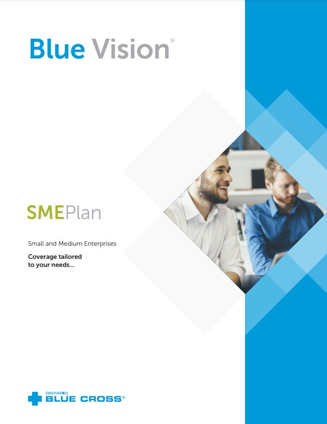 Blue Cross SME Plan- An Alternative to Traditional Employee Benefits